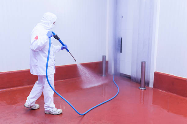 Best Warehouse Cleaning  in Rowland, NC
